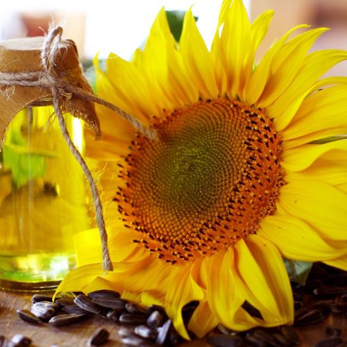 Refined-Sunflower-Oil