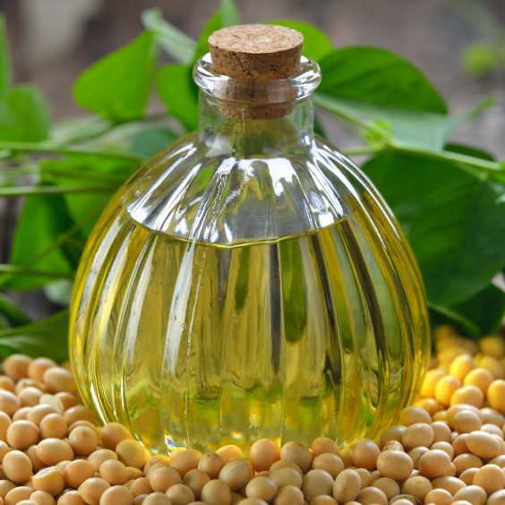soy-bean-oil-2021-09-03-19-08-42-utc-1-scaled soy-bean-oil-2021-09-03-19-08-42-utc-1-scaled